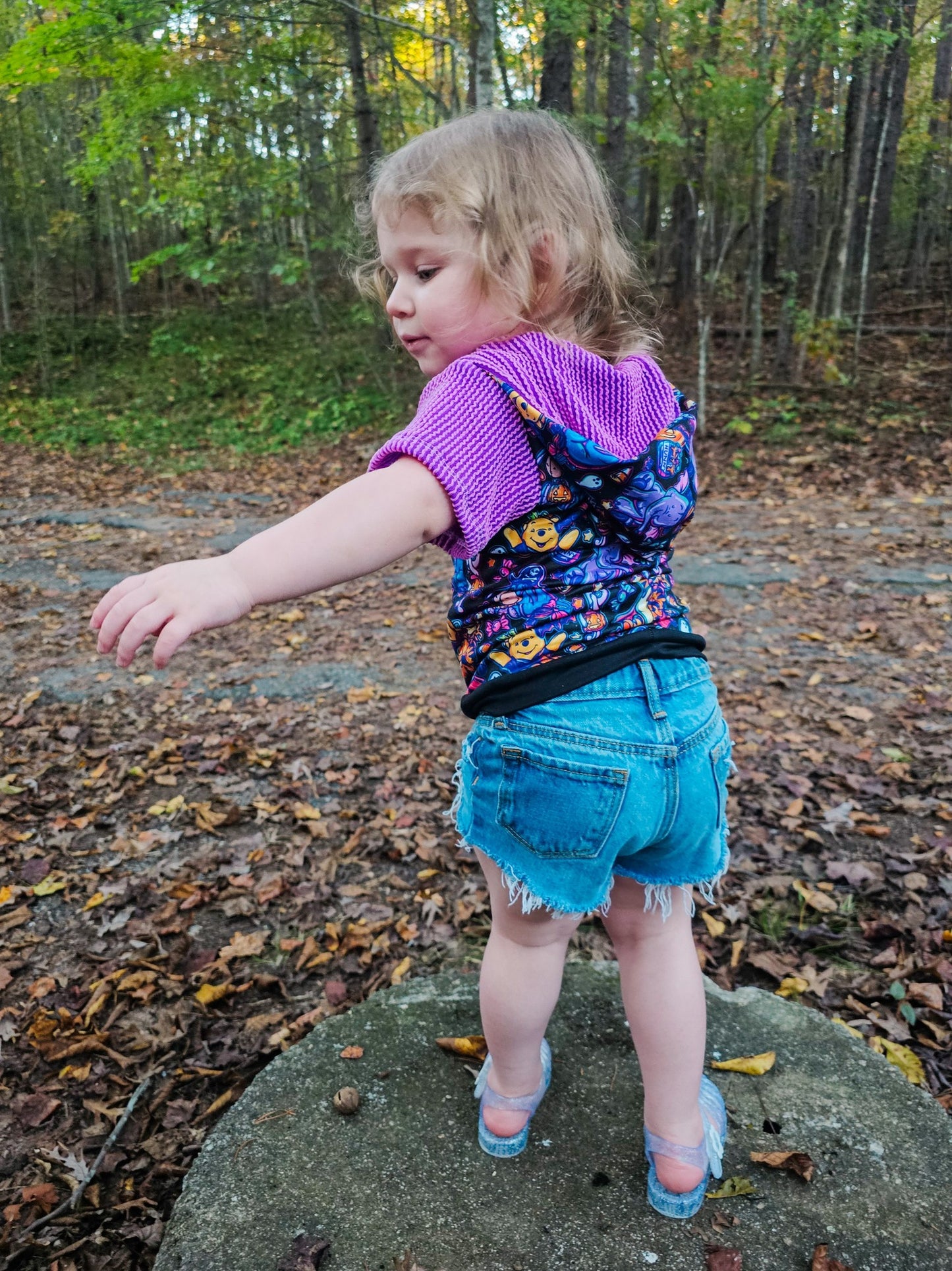 Baby Beck Hoodie PDF