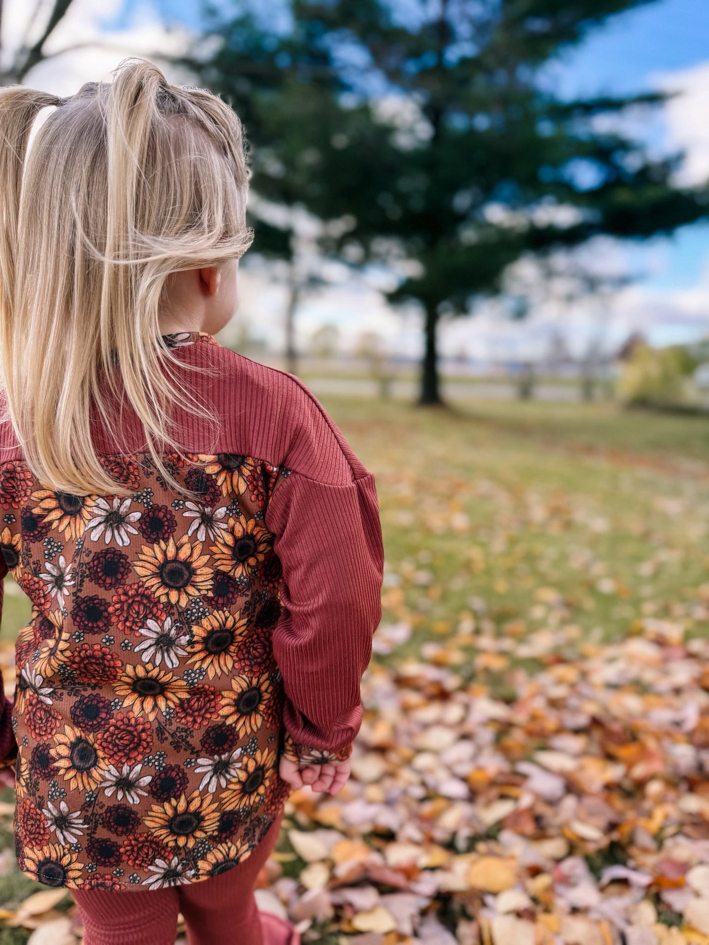 Youth Robert Dolman PDF