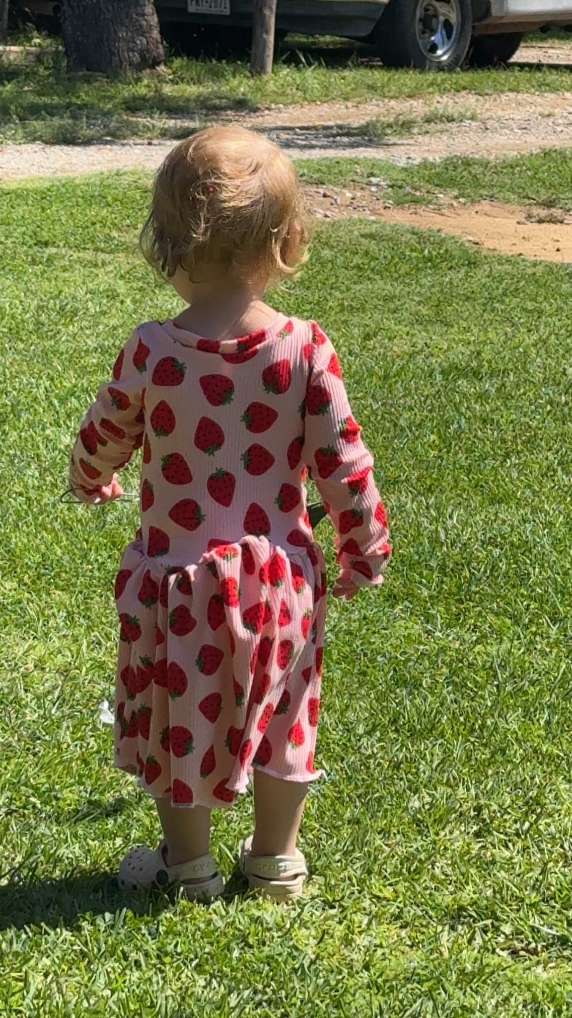 Baby Elizabeth Tunic & Dress PDF