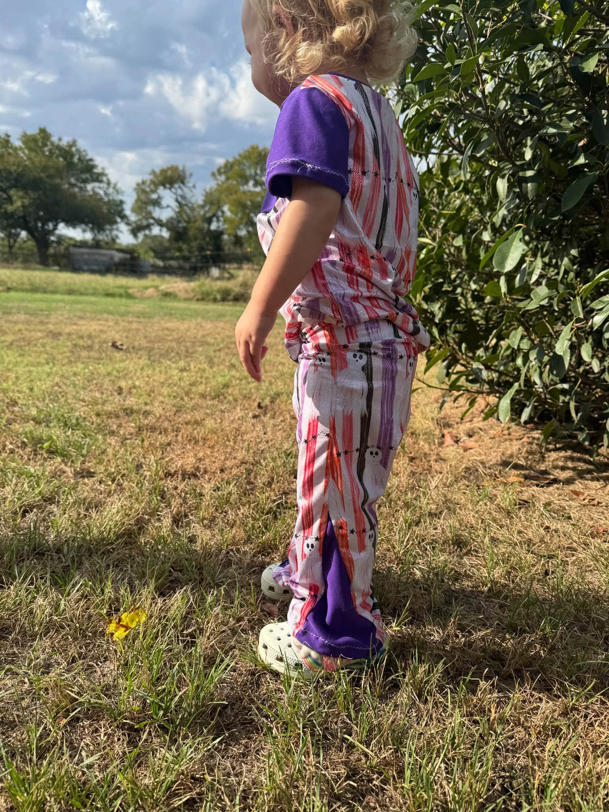 Baby Lyra Flares PDF
